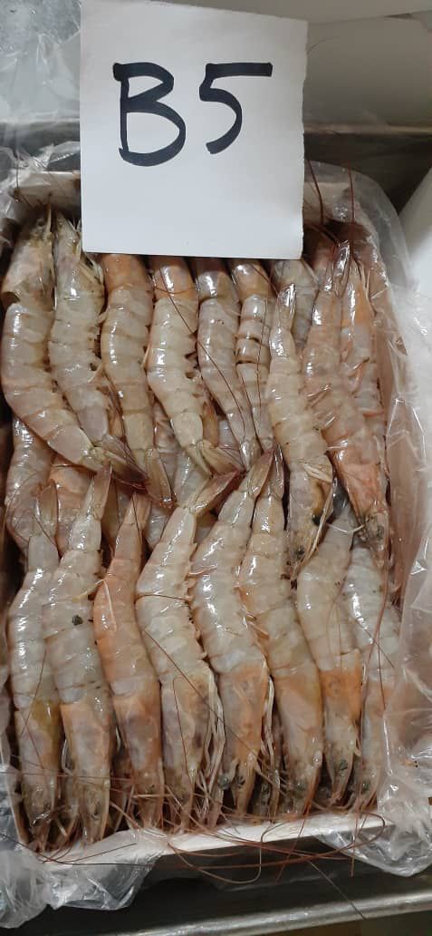 product.shrimp.name