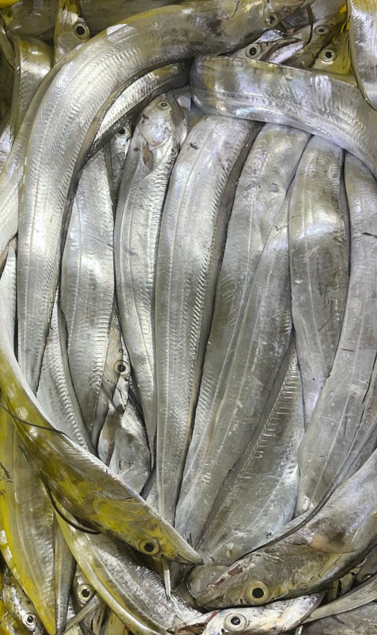 product.ribbonFish.name
